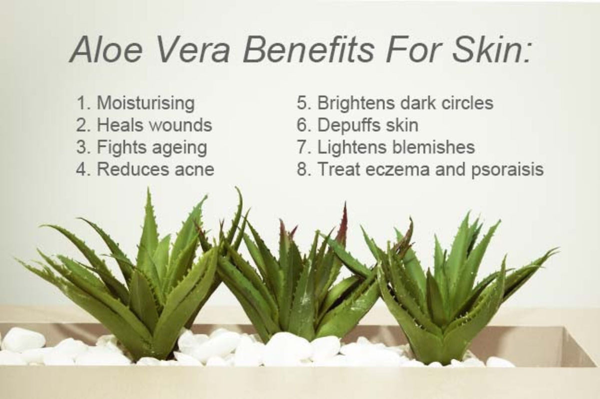 Shampoo & Conditioner -Tea Tree- Aloe Vera-Jojoba seed- Argan- Vitamin E Set - for Itchy and Dry Scalp, Sulfate Free, Paraben Free