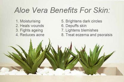 Shampoo & Conditioner -Tea Tree- Aloe Vera-Jojoba seed- Argan- Vitamin E Set - for Itchy and Dry Scalp, Sulfate Free, Paraben Free