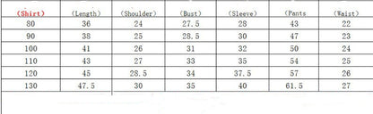 Children's Clothing Autumn And Winter Long Sleeve Cotton White Shirt Trousers Birthday Flower Children's Dress Boys Winter Suit
