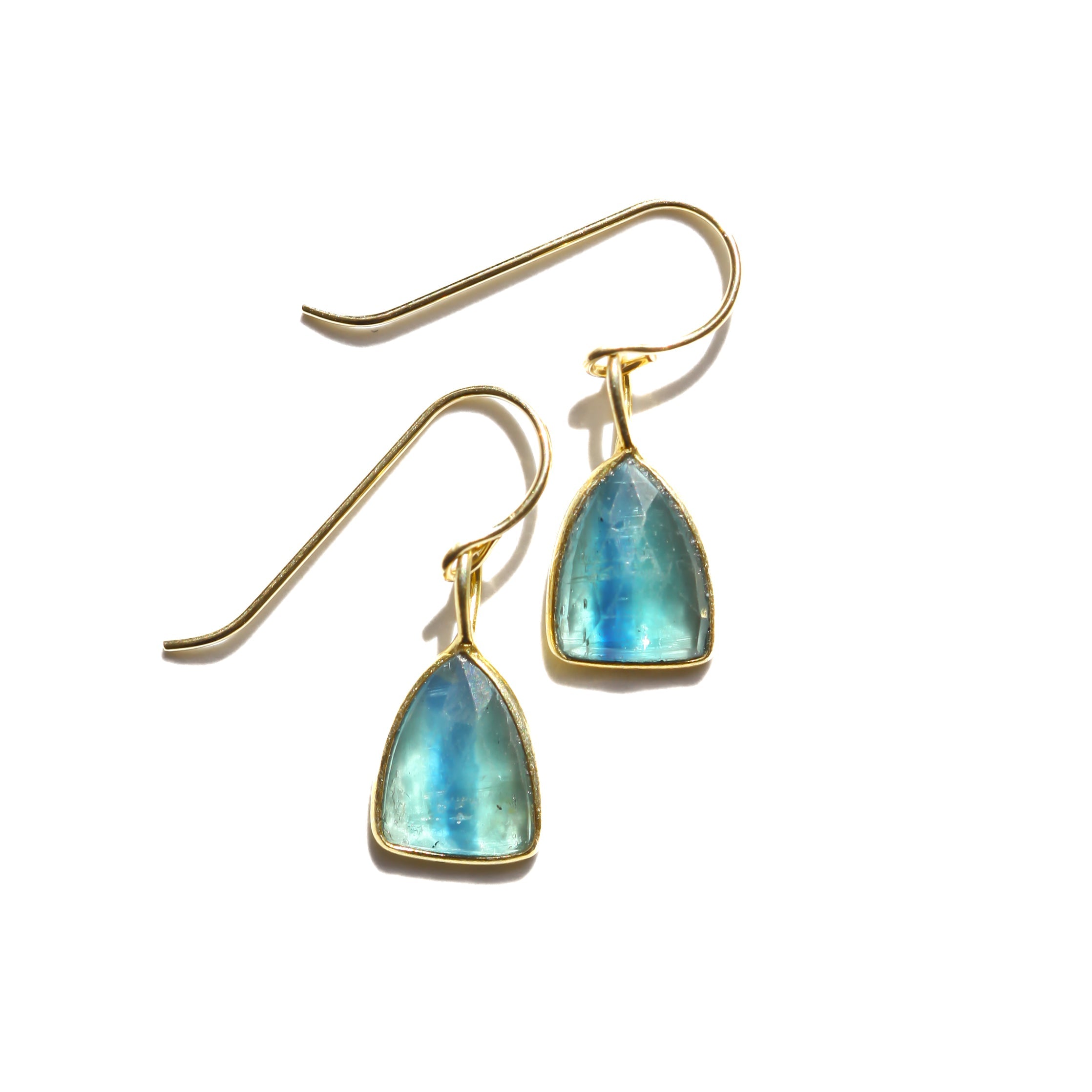 Kyanite Shield Rose Cut Earrings