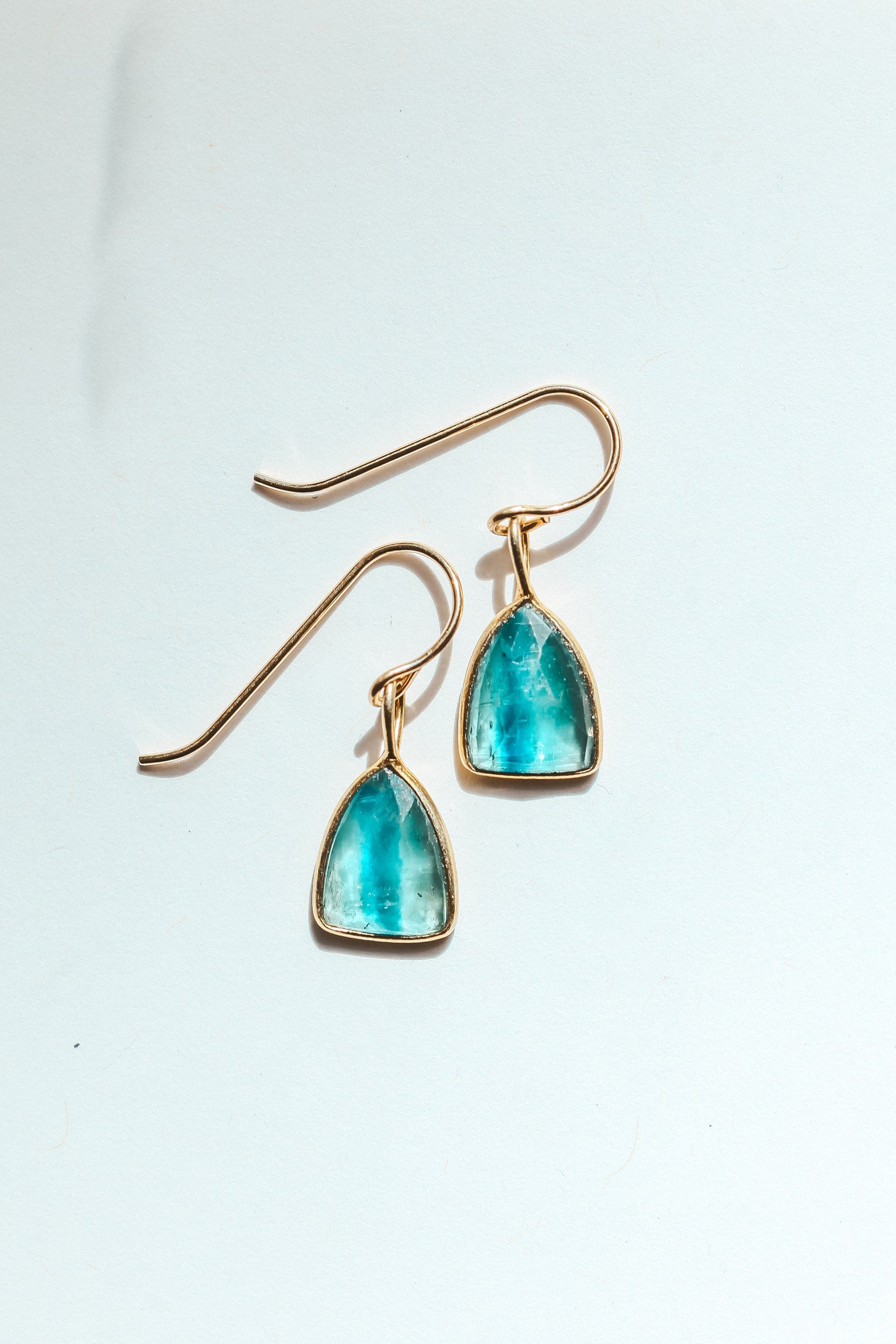 Kyanite Shield Rose Cut Earrings