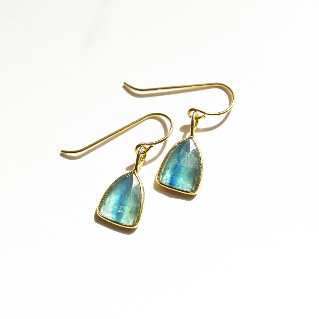 Kyanite Shield Rose Cut Earrings