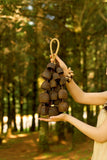 Salin Water Bellwood Seed Shaker | Hand Bell